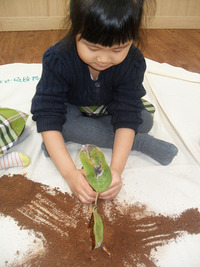 흙 덜어내기