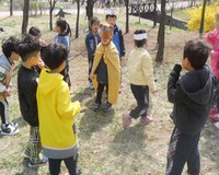 박쥐와 나방 