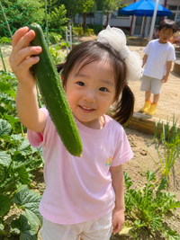 [소서]소서에 먹거리 즐기기