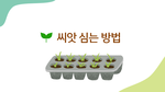 씨앗 심는 방법