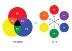 색의 3원색과 보색