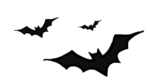 박쥐 