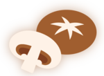 버섯 