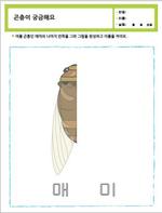 곤충이 궁금해요