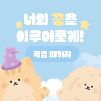 직업패키지